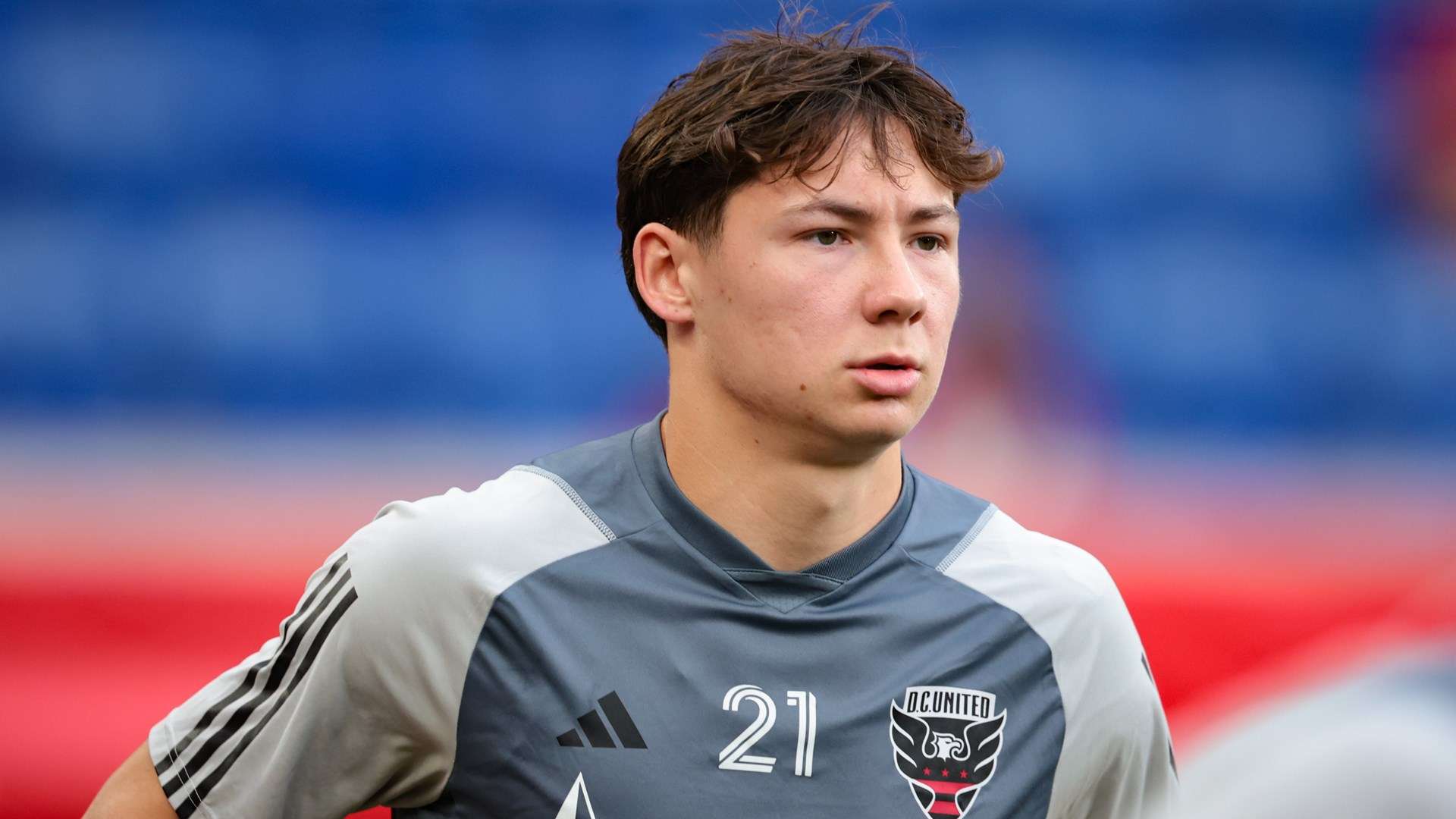 的社会中 的社会中