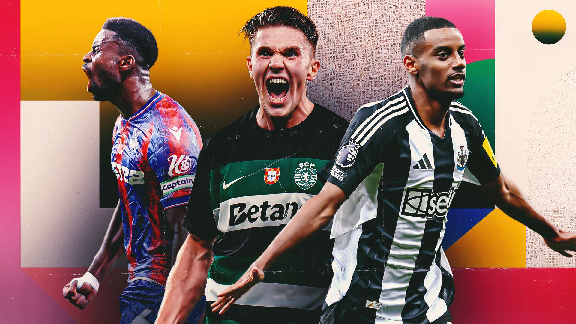 的得力助手 的得力助手