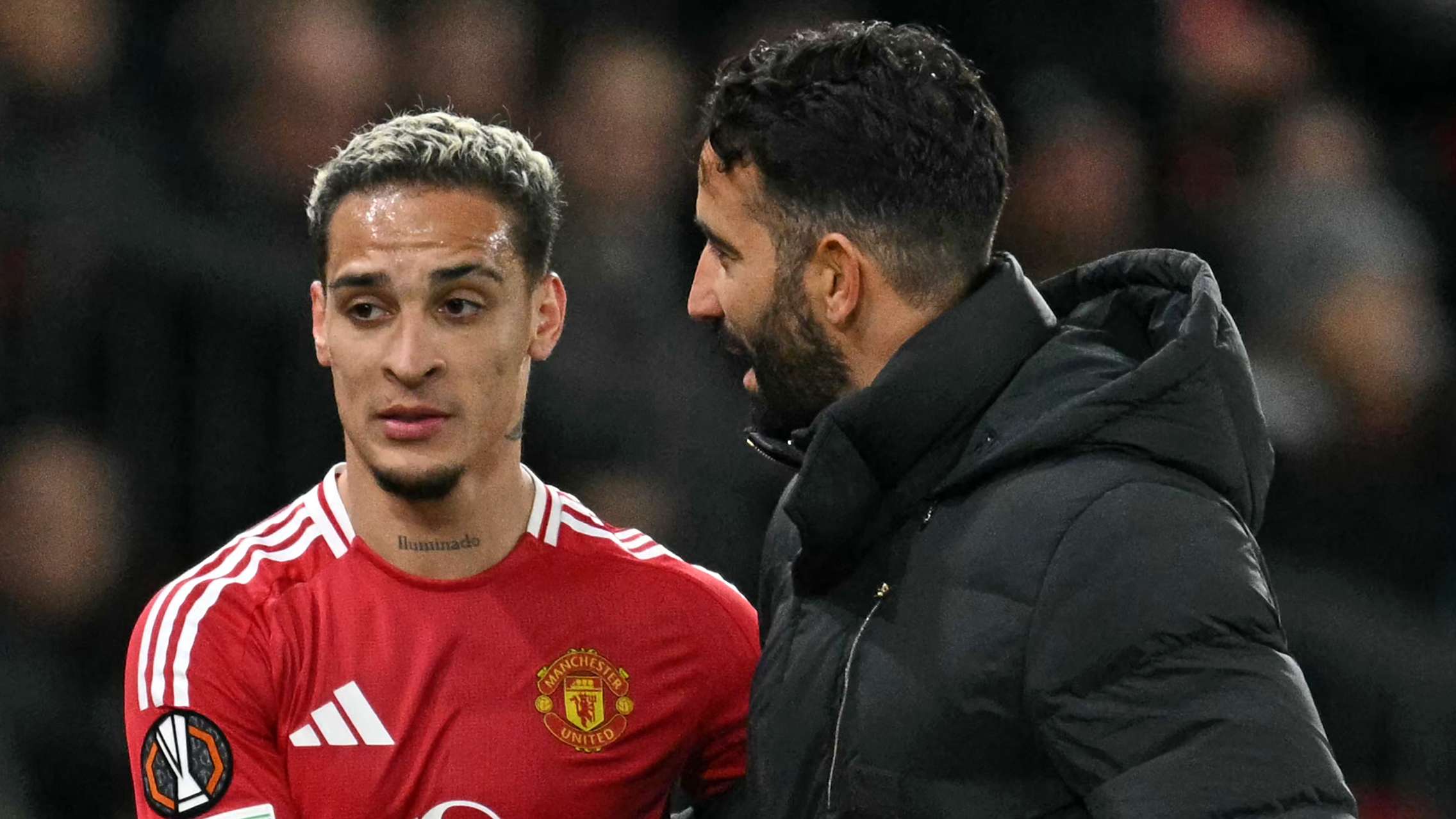 他们极有可 他们极有可